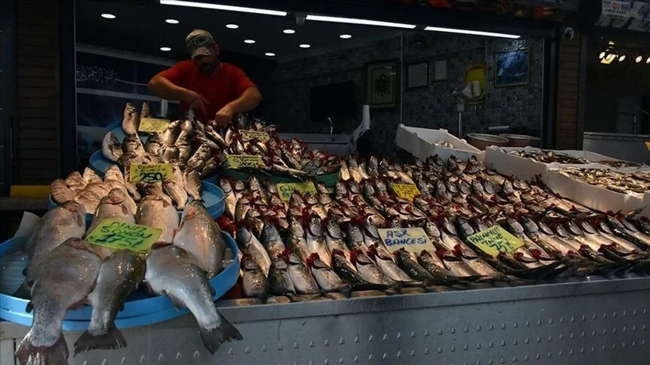 Karadeniz’de Palamut Bolluğu: İlk Gün Fiyatları 125 TL’den Başladı