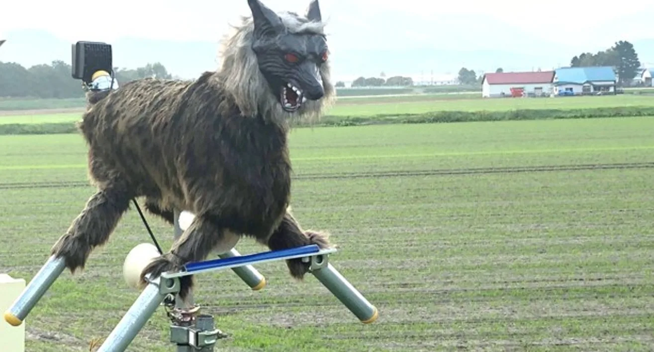 Japonya’da rekor seviyeye ulaşan ayı saldırılarına karşı yapay zekâ destekli kameralar, dronlar ve Monster Wolf adı verilen robot kurtlar kullanılmaya başlandı.
