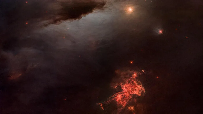 Hubble’dan büyüleyici N44 görüntüsü: Yarım milyon yıldız aynı kozmik bölgede Hubble’dan büyüleyici N44 görüntüsü: Yarım milyon yıldız aynı kozmik bölgede