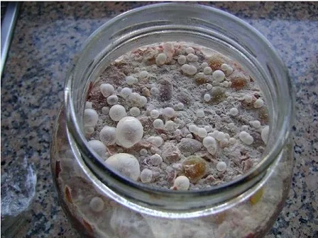 Mersin’in Akdeniz ilçesinde ruhsatsız işletmede ele geçirilen yaklaşık 3 bin 500 kova bozulmuş turşu ekipler tarafından imha edildi.