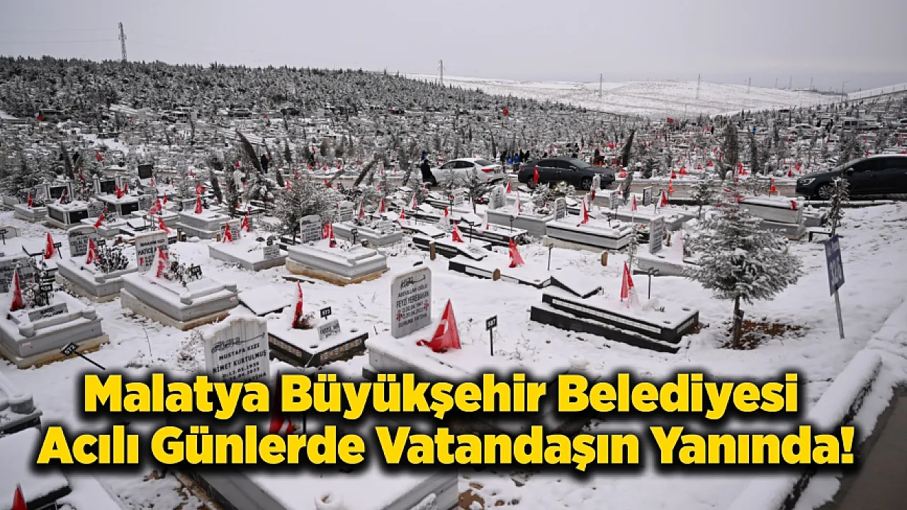 2025'te 4 Bin 733 Defin İşlemi Gerçekleştirildi!
