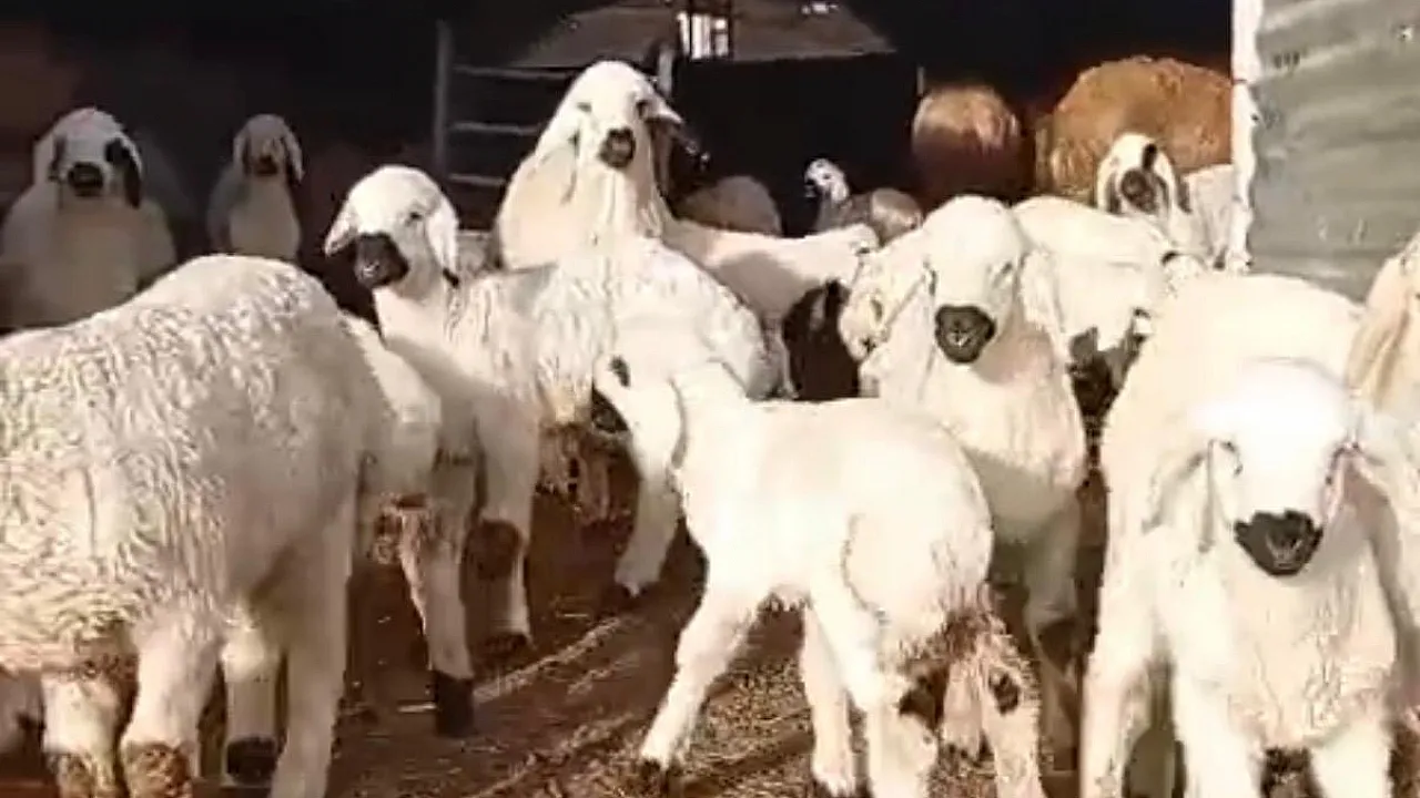 Malatya'da Üretimde Çeyrek Asırlık Tecrübe