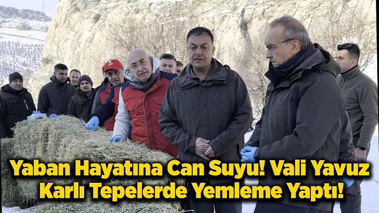 Malatya'da Karlı Dağlarda Yaşam Mesaisi