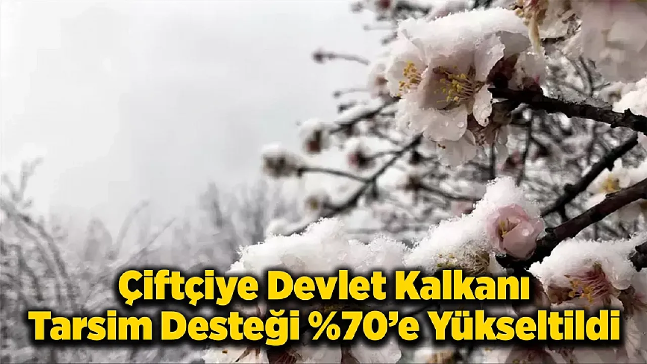 Malatya Kayısısı İçin Kış Donunda Yeni Dönem