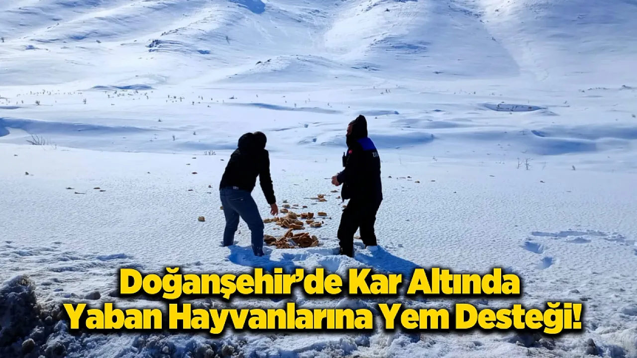 Doğanşehir'de Can Dostlar Unutulmadı!