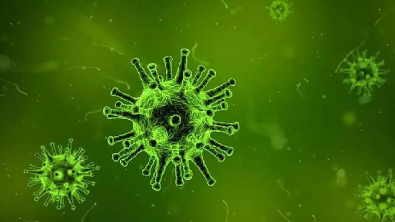 Yeni Salgın Alarmı! Bölge Karantinaya Alındı