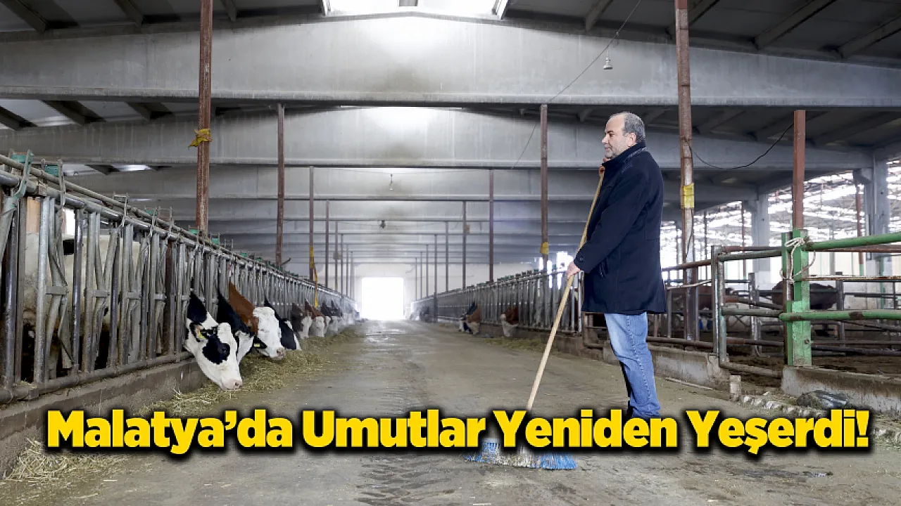 Malatya'da Bir Üreticinin Umut Yolculuğu! 17 Kayıptan 400'e Yükseldi