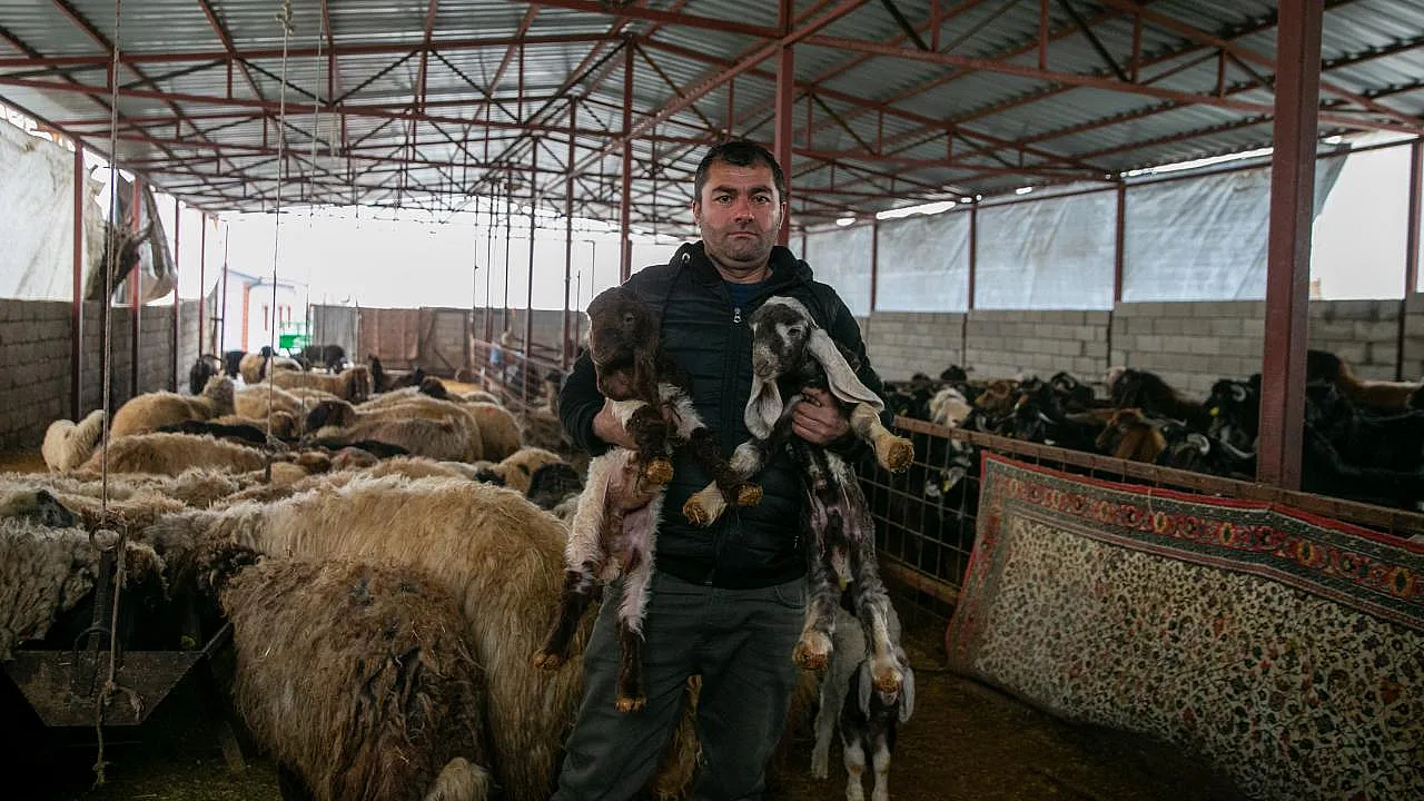 Depremde Sürüsünü Kaybeden Besici, Devlet Desteğiyle Yeniden Üretime Başladı