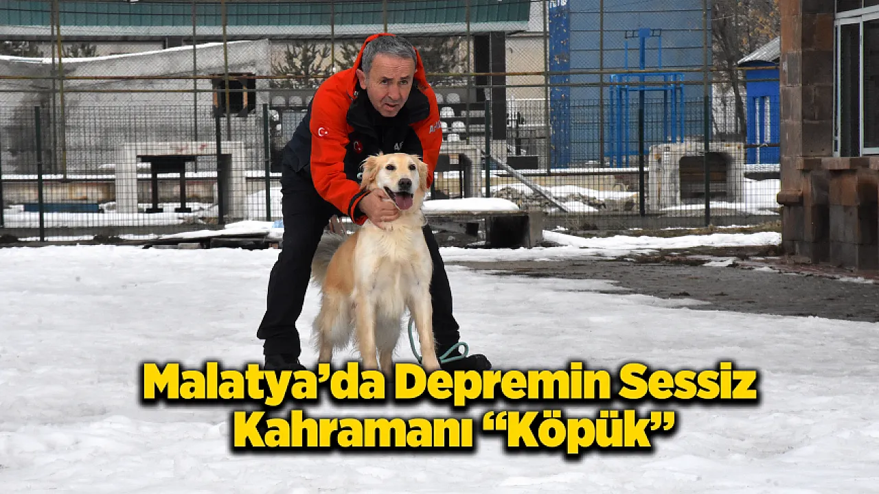 Malatya Unutmadı! Sessiz Kahraman Köpük Göreve Hazır!
