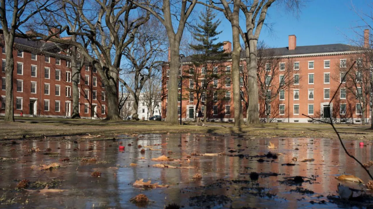 Harvard ve Trump Arasında 1 Milyar Dolarlık Savaş!