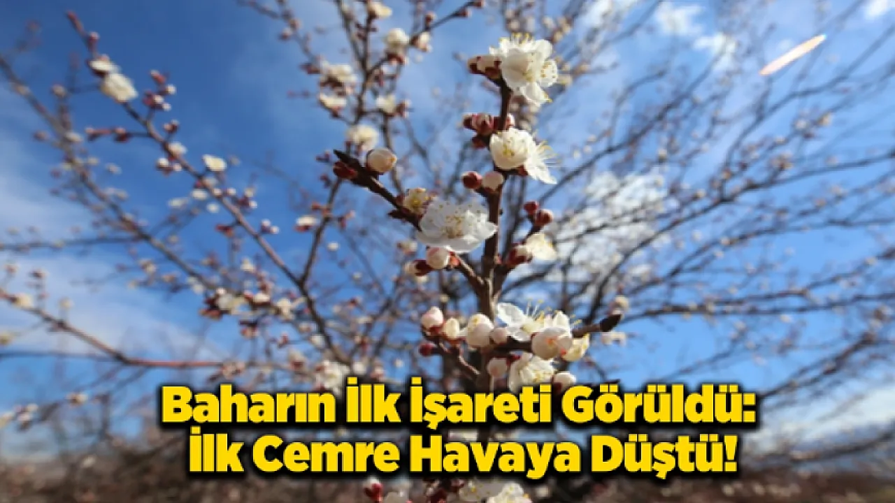Bahar Müjdesi Geldi! İlk Cemre Bugün Düştü