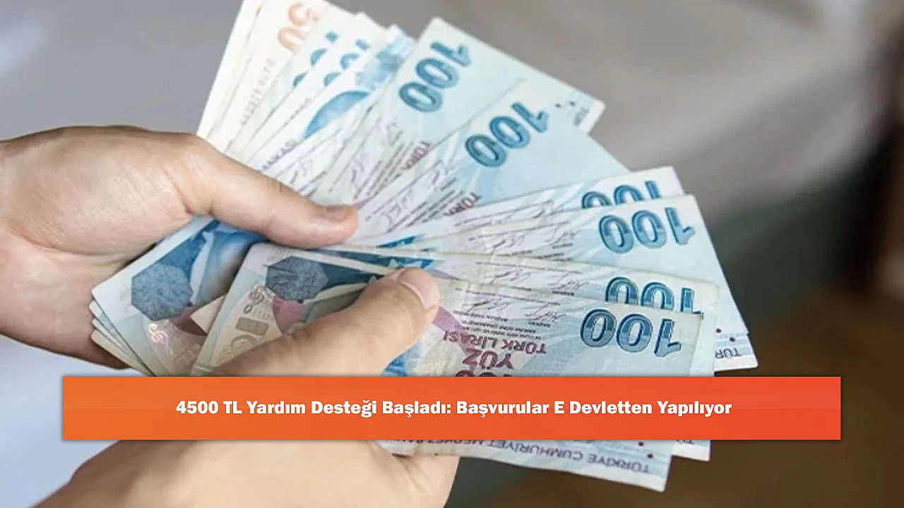 4500 TL Yardım Desteği Başladı: Başvurular E Devletten Yapılıyor