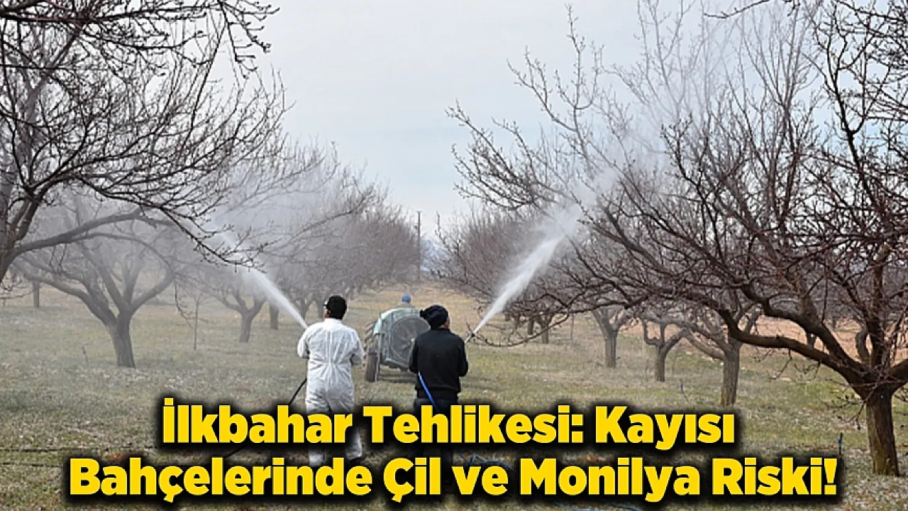 Malatya'da Üreticilere Kritik Uyarı: Verim Kaybını Önlemek İçin İlaçlama Şart