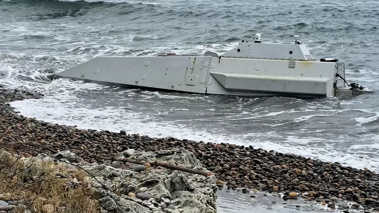 Ordu'da Kıyıya Vuran Gizemli Cisim Alarm Verdirdi: Ekipler Bölgeyi Kuşattı