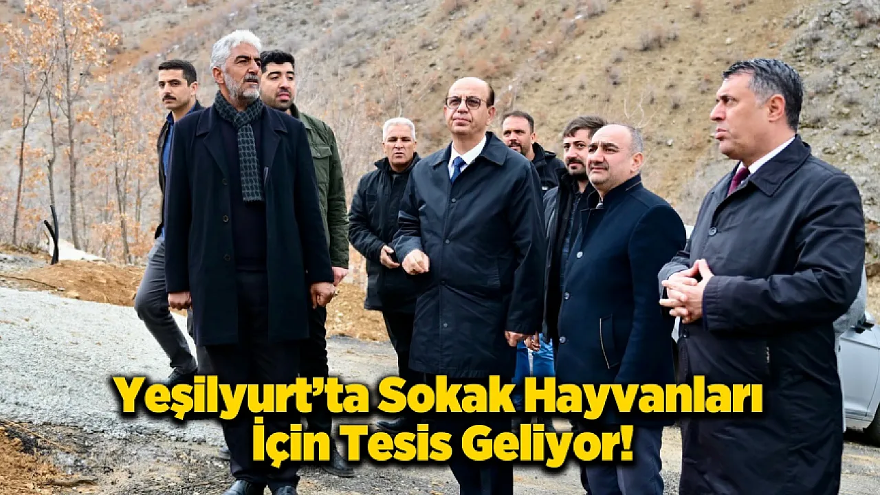 Yeşilyurt'tan Sokak Hayvanlarına 50 Dönümlük Yuva!