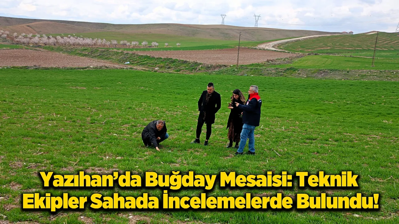 Hasatta Verim Kaybına Geçit Yok: Teknik Ekipler Boyaca'da Çiftçilerle Buluştu!