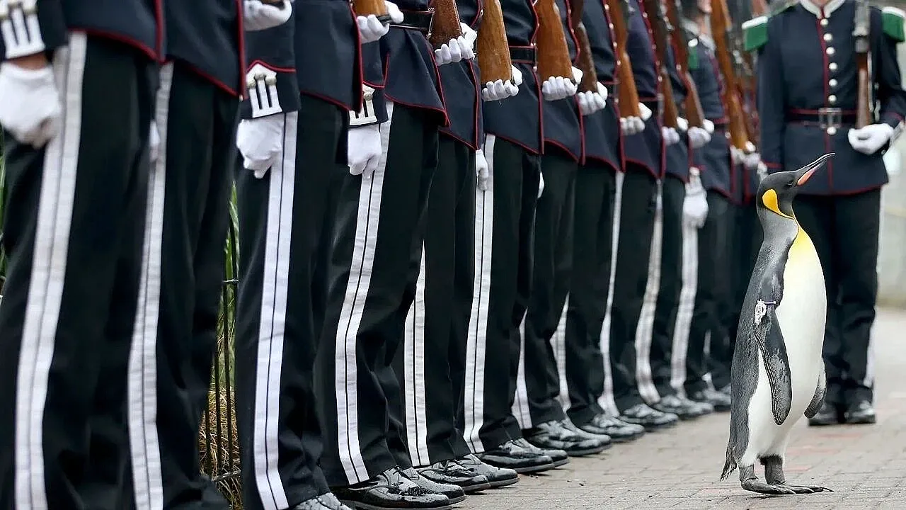 Dünya Tarihine Damga Vuran Hayvanlar ve Üstlendikleri Sıra Dışı Görevler