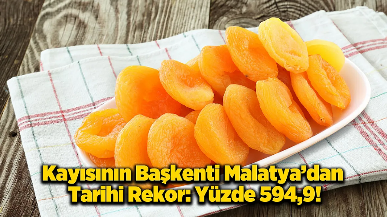 Malatya Kayısısı Dünyayı Doyuruyor: Yeterlilik Oranında Rekor Açıklandı!