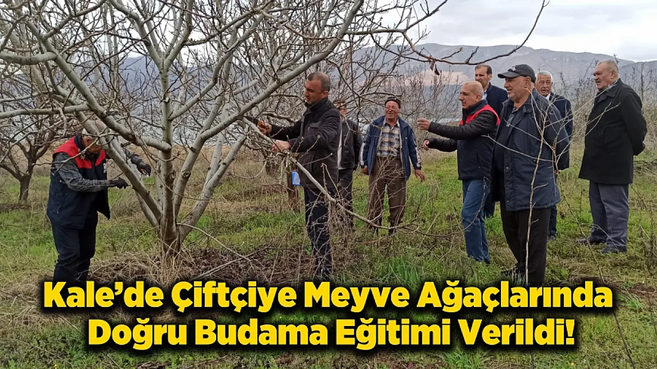 Kale'de Meyve Üreticisine Budama Dersi: Yanlış Budama Verimi Düşürüyor!