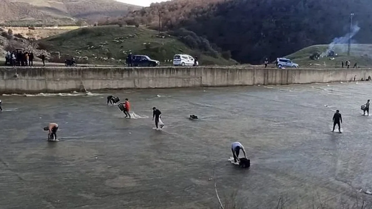 Sandıklı Örenler Barajında Yaşanan Beklenmedik Balık Akını Bölge Halkını Sevindirdi