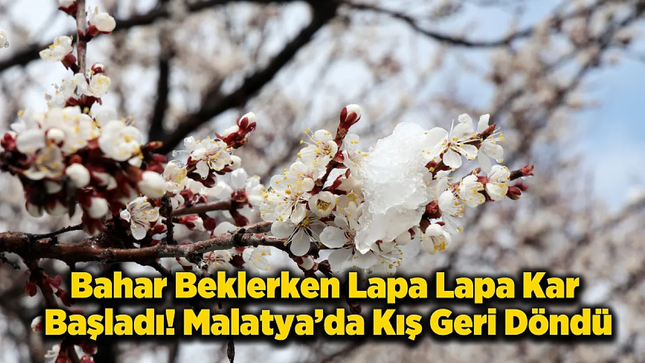 Malatya'da Kar Mesaisi! Üretici Don Riskine Karşı Teyakkuzda