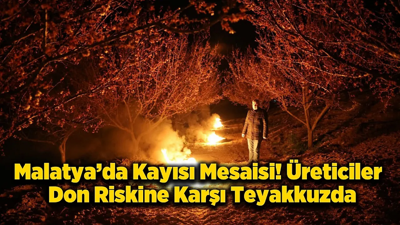 Malatya'da Kayısı Nöbeti! Ekipler ve Üreticiler Sabaha Kadar Bahçedeydi