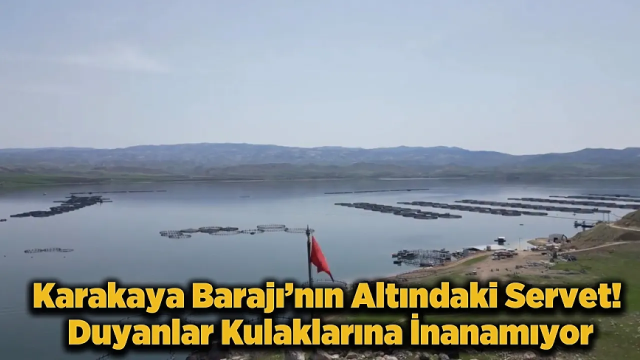 Hangi Sektör Malatya'yı Şahlandırıyor? İşte 7 Bin 500 Tonluk O Başarı Hikayesi