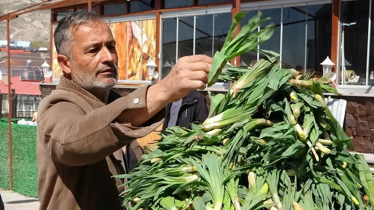 Van Dağlarının Doğal İlacıTezgaha İndi! Kilosu 100 Liradan Kapış Kapış Gidiyor