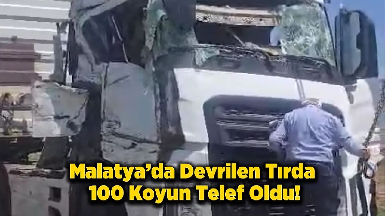 Malatya Arapgir'de Feci Kaza! Hayvan Yüklü Tır Devrildi, Yol Savaş Alanına Döndü