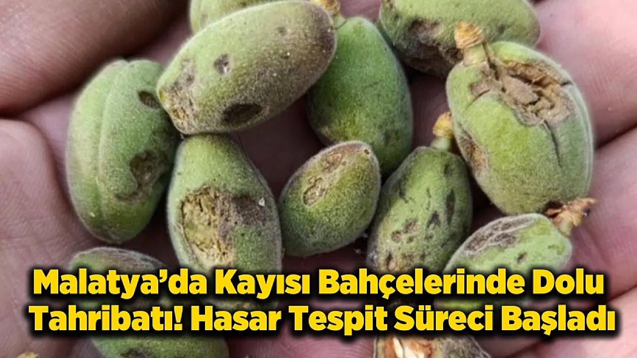 Malatya'da Dolu Tarım Arazilerini Vurdu! Vali Yavuz'dan Hasar Tespiti Talimatı