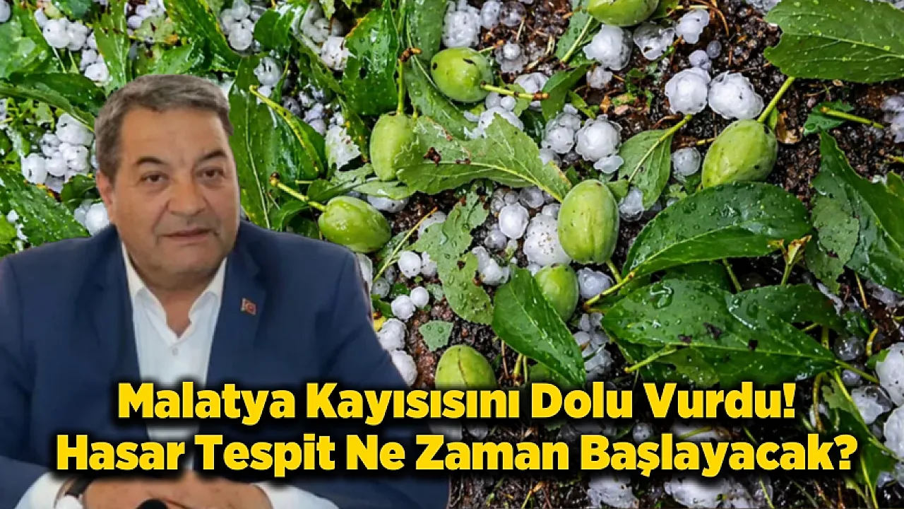 Malatya'da Dolu Kayısıyı Vurdu, Hasar Tespiti Başlayacak mı?