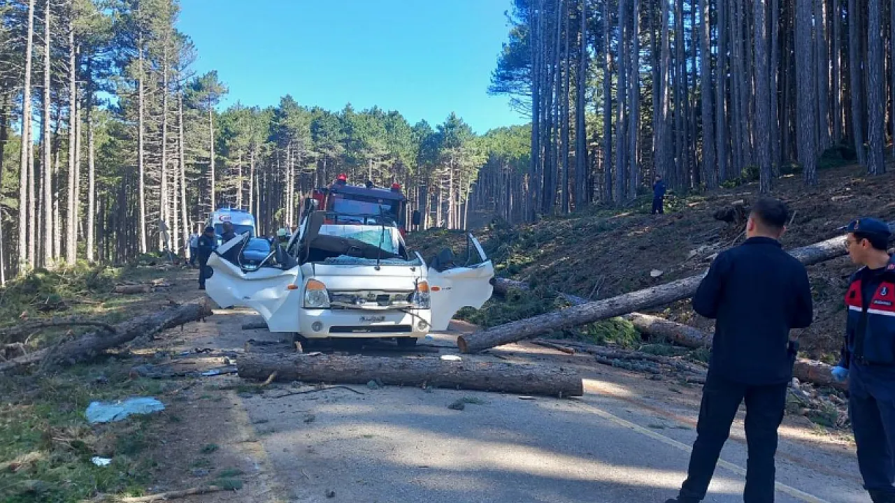 Bursa'da Orman Yolunda Üzerine Ağaç Devrilen Kamyonet Sürücüsü Can Verdi!