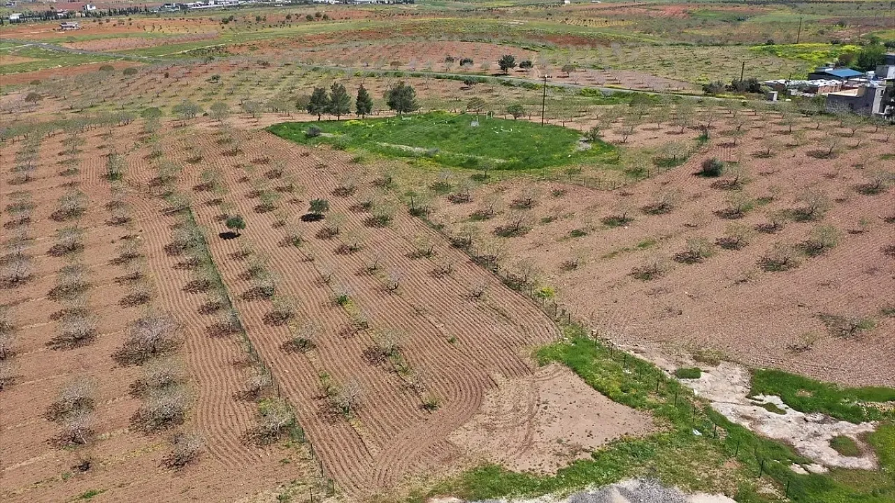 Tarihin Sıfır Noktasında Dev Zirve! Japon ve Çinli Arkeologlar Şanlıurfa'da