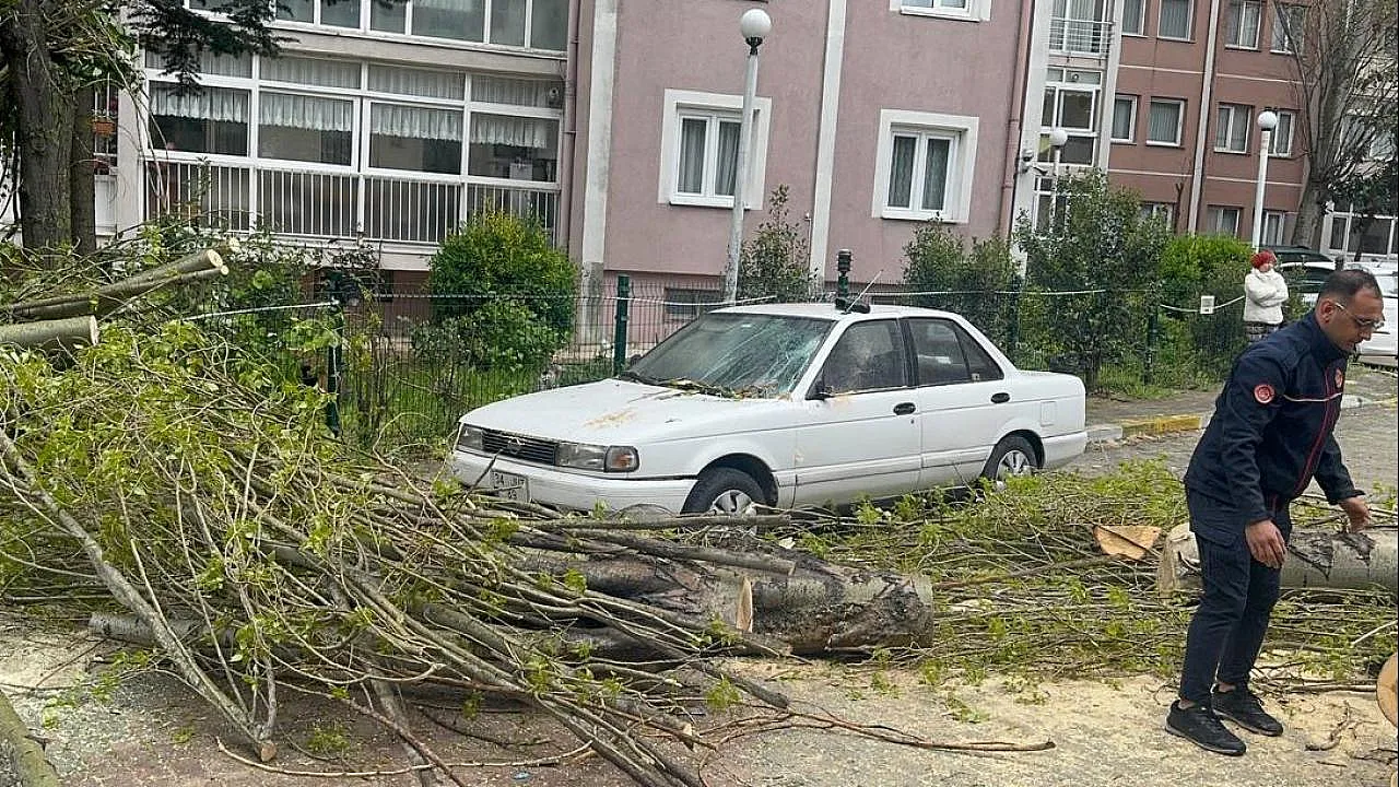 Beylikdüzü'nde Korkutan Anlar! Dev Ağaç Rüzgarın Şiddetiyle Aracın Üstüne Çöktü