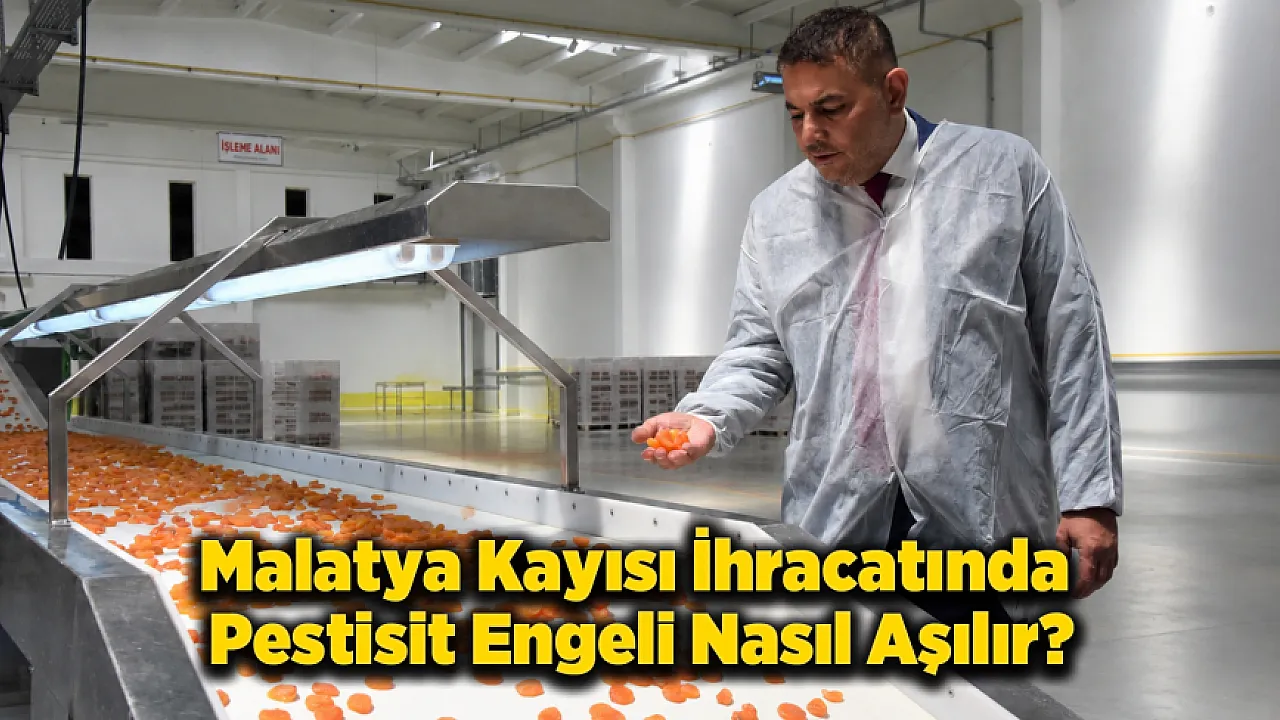 Malatya Kayısısında Yeni Dönem! Pestisit Kalıntısına Karşı Sıfır Tolerans