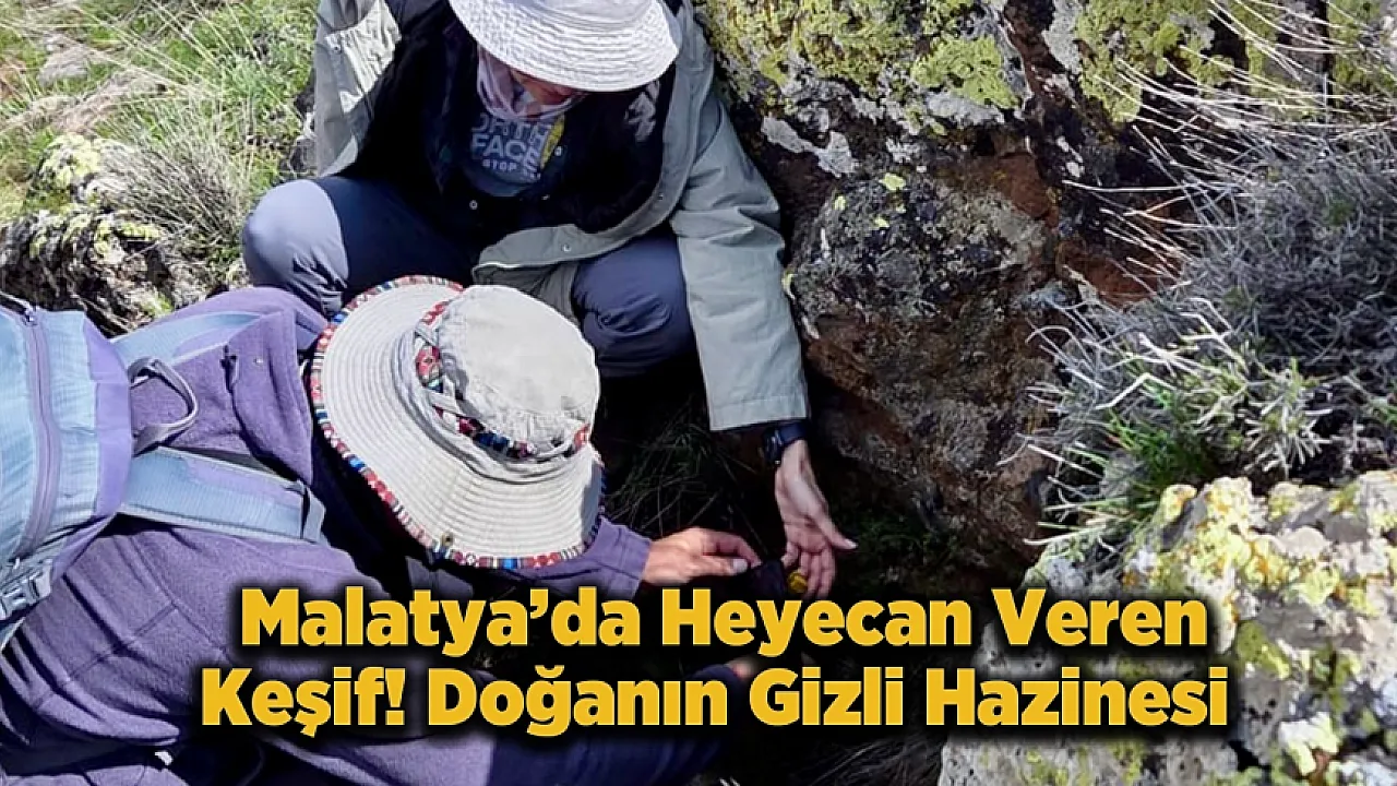 Köy Köy Gezip Aradılar! Malatya'da Dev Flora Projesi Start Aldı