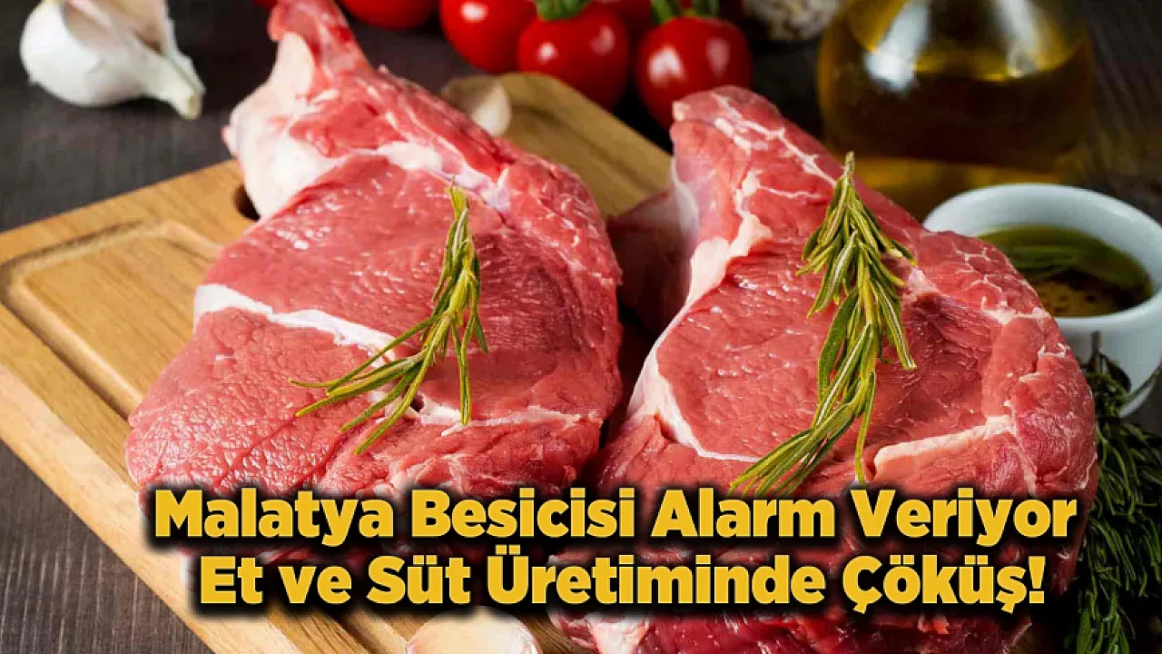 Malatya'da Et Fiyatlarını Uçuracak Rapor! Üretim 2 Milyon Tonun Altına İndi