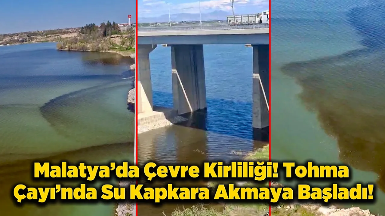 Malatya'da Tohma Çayı Kapkara Akıyor! Balıklar Ölüyor