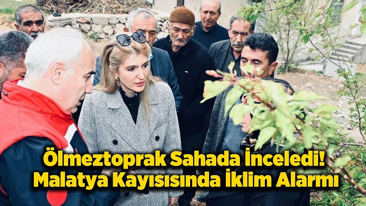 Malatya'da Alternatif Ürün Dönemi mi Başlıyor?