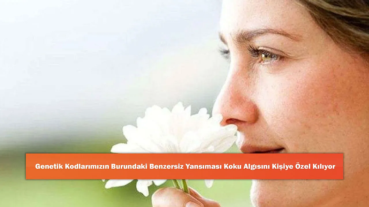 Genetik Kodlarımızın Burundaki Benzersiz Yansıması Koku Algısını Kişiye Özel Kılıyor