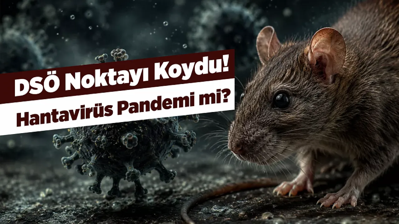 Gemideki Hantavirüs Alarmı Sonrası DSÖ'den Kritik Açıklama!
