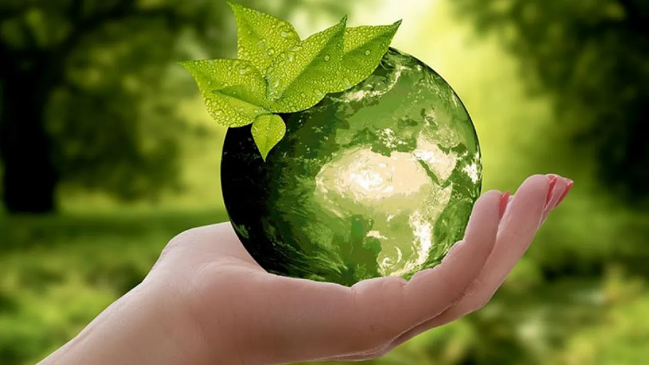COP31 Türkiye İçin Milat Olacak! Denizler İklim Diplomasisinin Merkezinde