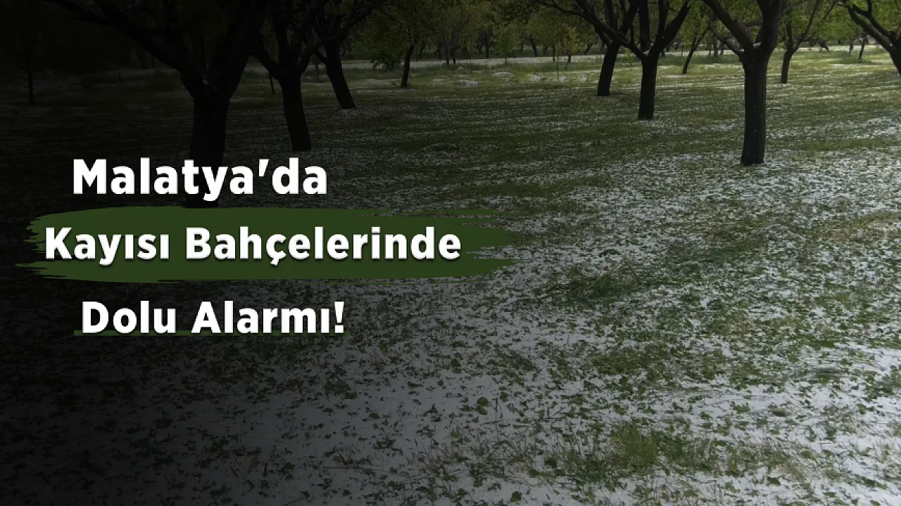 Malatya'da 10 Dakikalık Dolu Kabusu! Yollar Beyaza Büründü, Tarım Arazileri Zarar Gördü