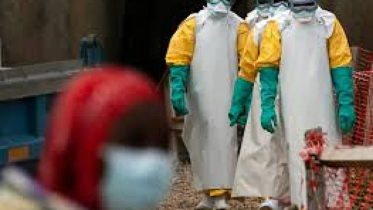 Ebola Virüs Alarmı! 246 Şüpheli Vaka, 65 Ölüm! Ebola Şüphesiyle Yüzlerce Vaka İnceleniyor
