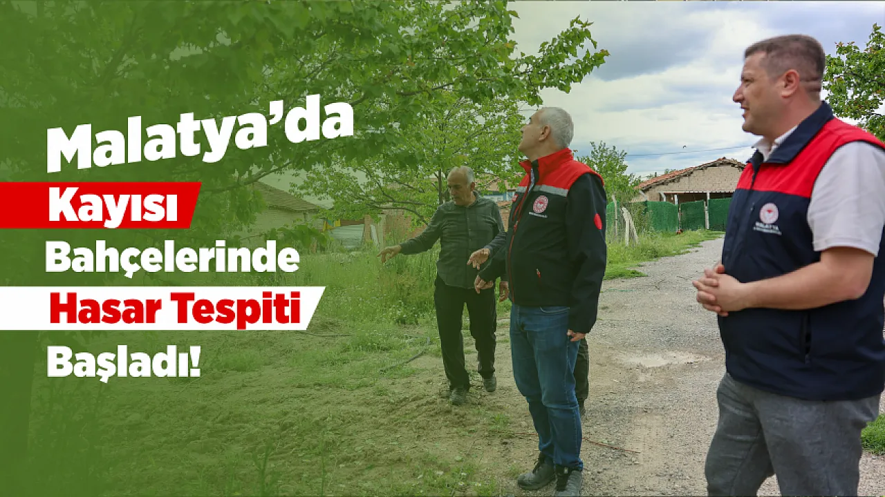 Malatya Kayısısında Dolu Endişesi! Ekipler Sahaya İndi