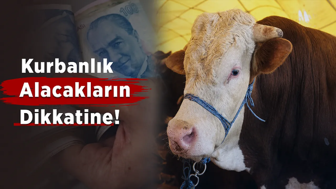 Malatya Hayvan Pazarında Uyarı! Sahte Ödeme ve Hasta Hayvan Riskine Dikkat