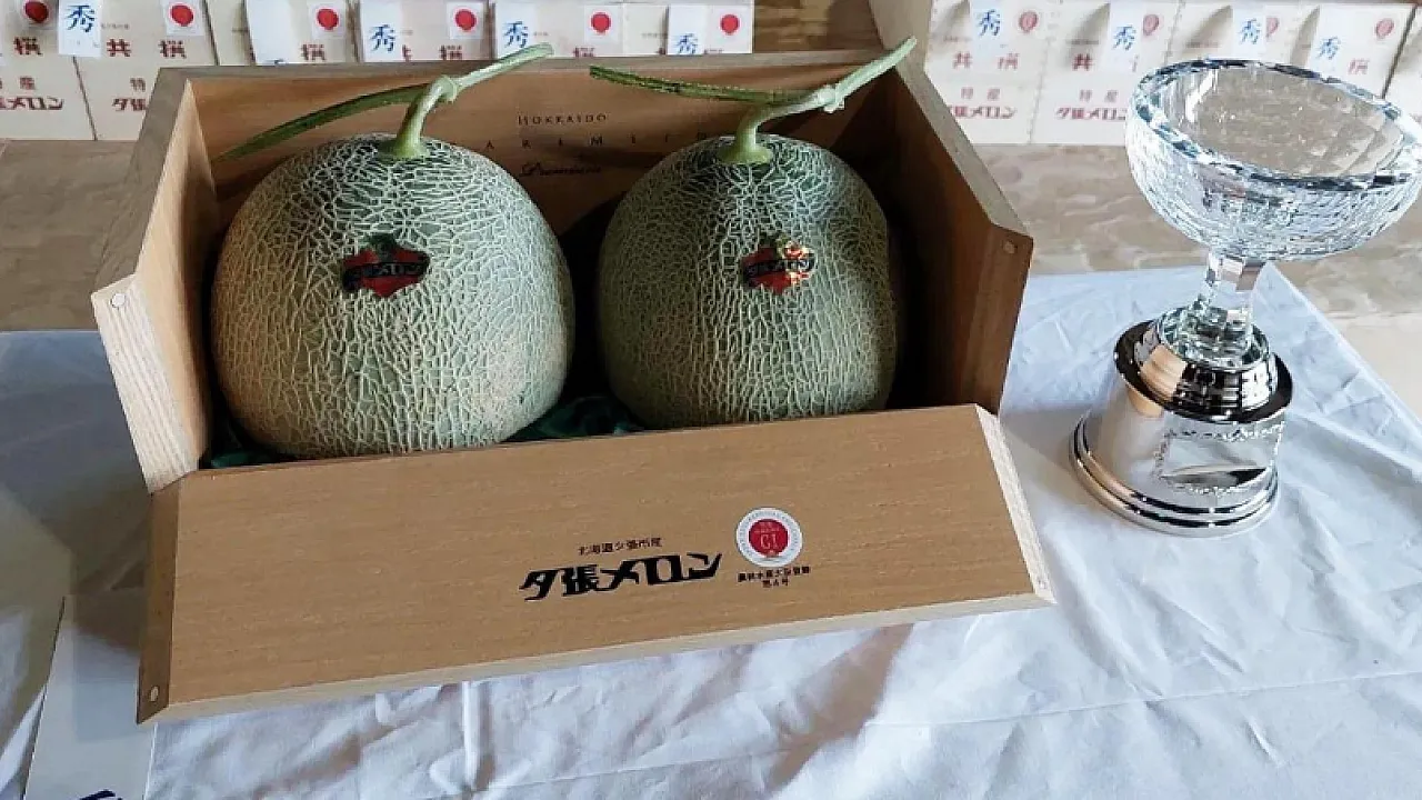 Japonya'da İki Kavuna Servet Ödendi! Rekor Fiyat Şaşırttı