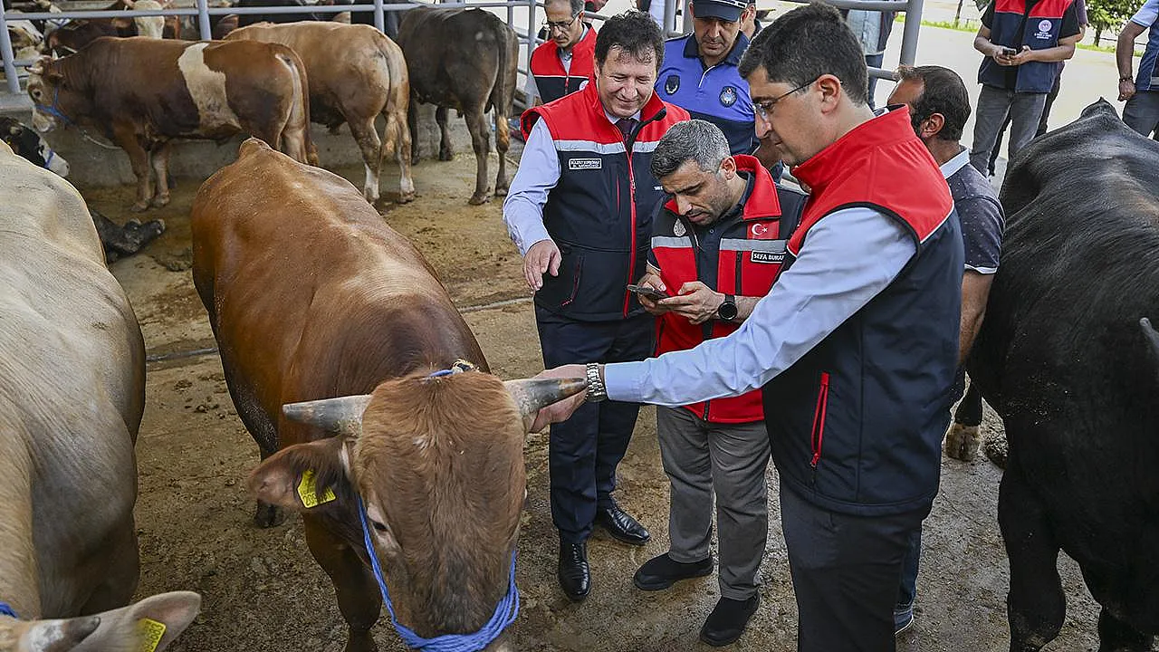 Bayram Öncesi Büyük Sevkiyat Alarmı! 4 Milyondan Fazla Hayvan Yakın Markajda