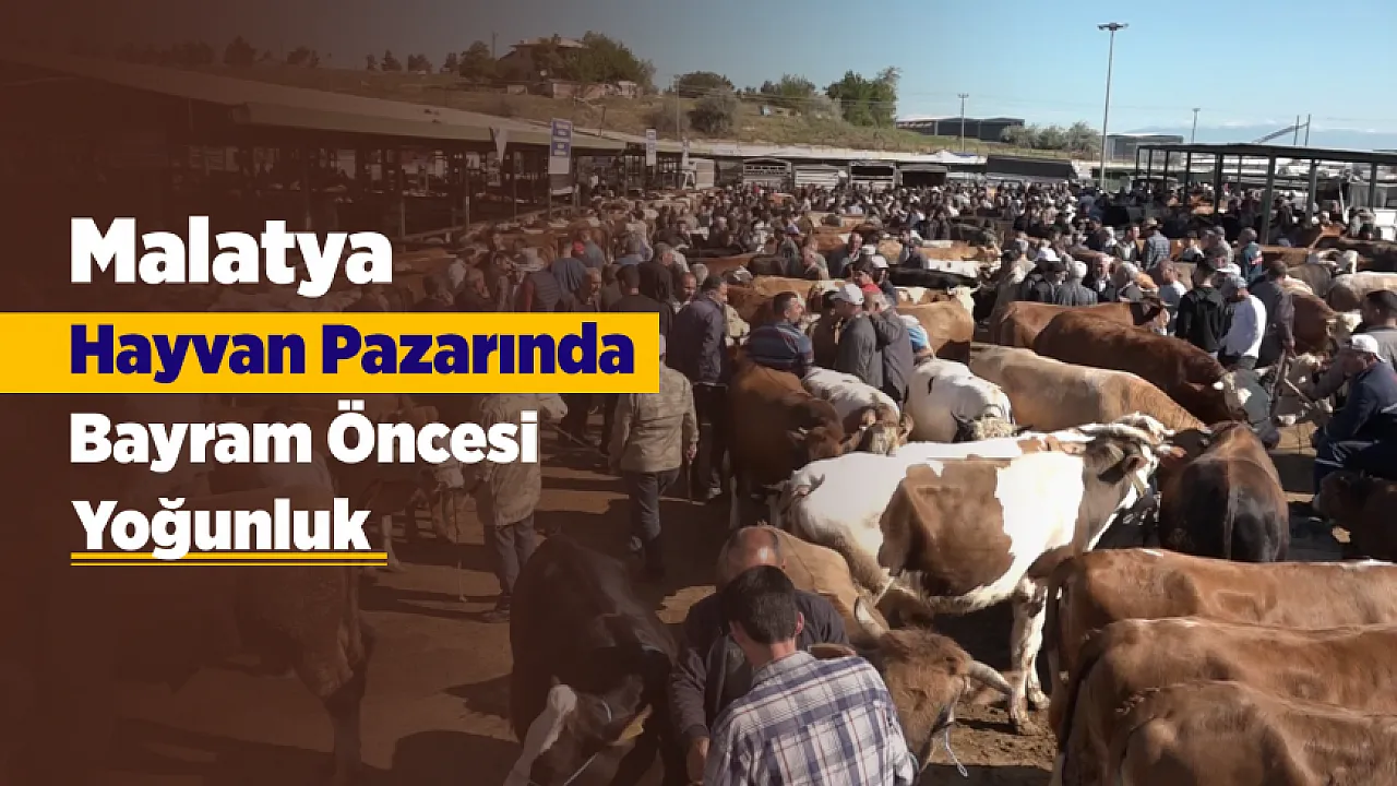 Malatya'da Kurbanlık Pazarında Yoğunluk Var Ama Alım Yok!