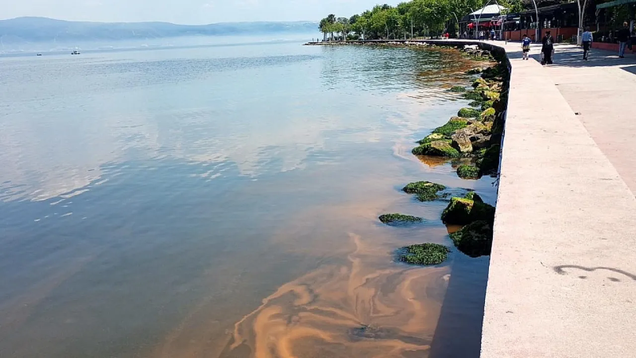 Kocaeli Kıyılarında Deniz Turuncuya Döndü!